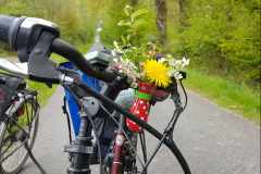 20170501_125803_bearbeitet-1