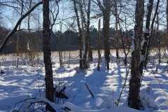 0085ac98-0abb-4963-8cd5-d2eb7bc87e53