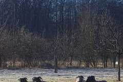 1c87a2b6-6ac6-4922-9fed-8db22a4e41dd