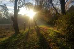 9325e402-5a21-45c2-9523-8ca625088c86