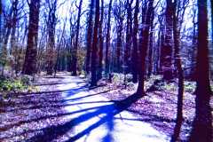 964608d5-b1ff-4c58-8bdd-3f21bbdf7543