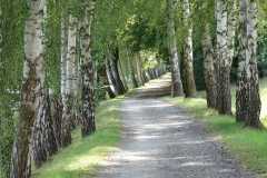 b3d21be9-8cc6-419f-a736-c1b4ce7327e5