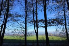 e07d8f92-a056-4206-b6e3-7e7a83256100